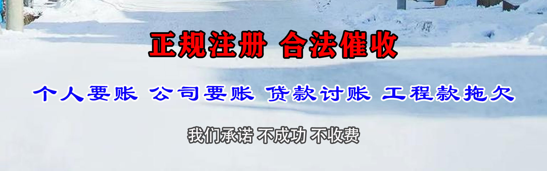 蔡甸清债公司